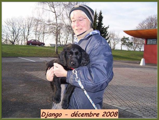 Django  la maison