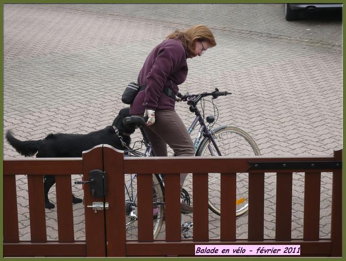 Vélo