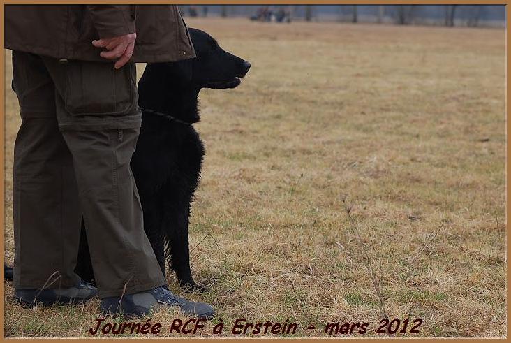 ERSTEIN
