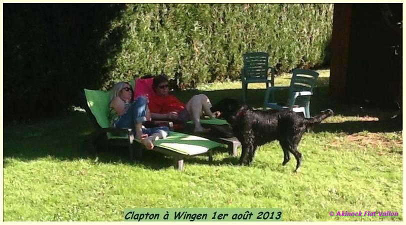 WINGEN