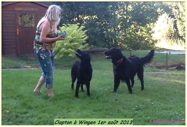 EVY ET CLAPTON