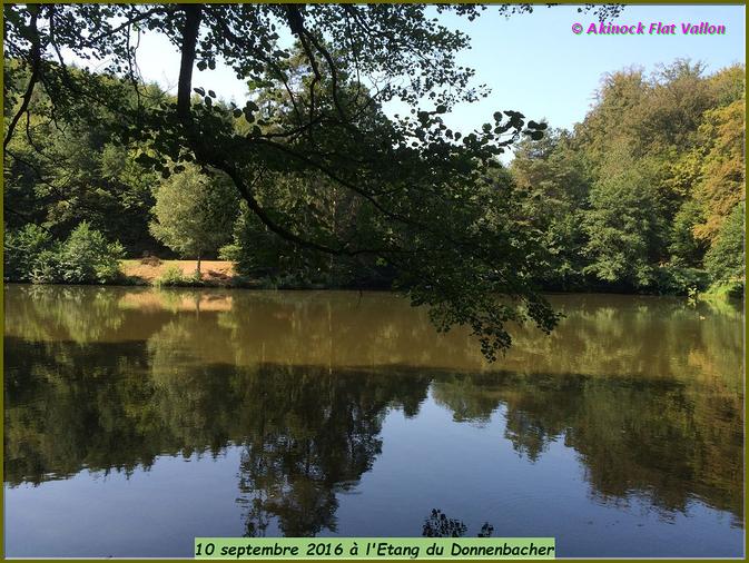 donnenbacher