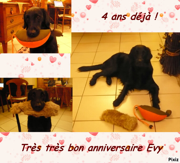 4ans Evy