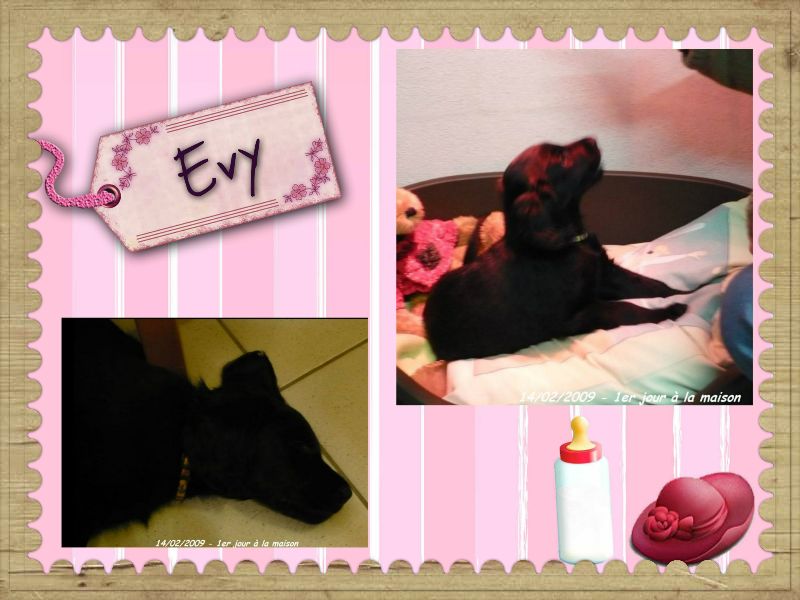 EVY
